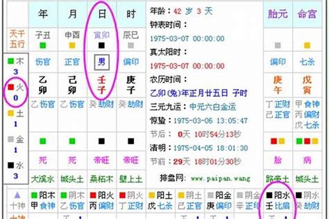 五行 查询|生辰八字五行查询